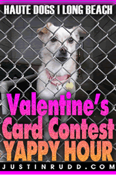 Yappy Hour Valentine's Card Contest